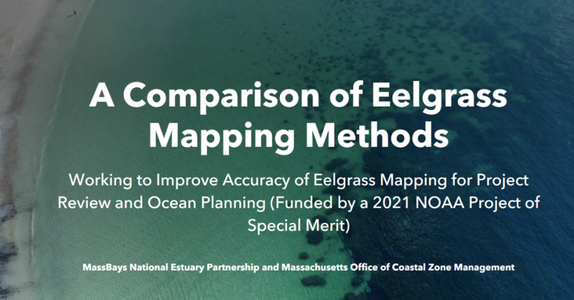 Featured image for “Story Map: A comparison of eelgrass mapping methods”