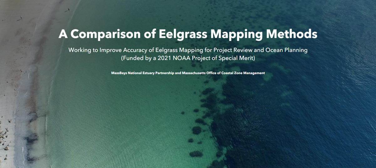 Eelgrass Story Map